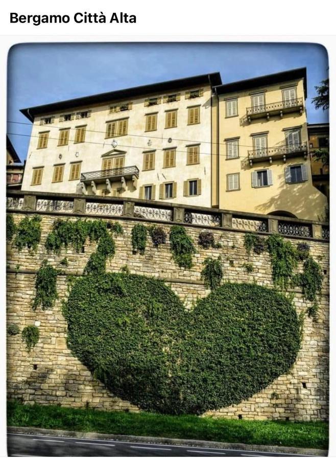 Smart Silver * Bergamo